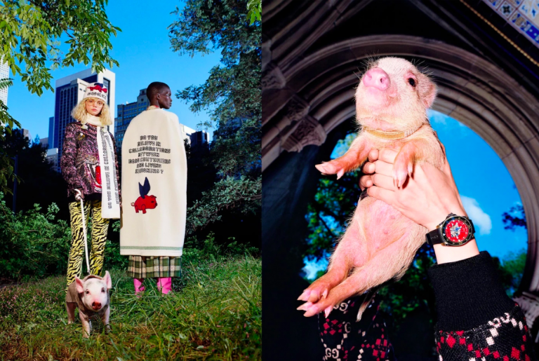 THE CUT | GUCCI CHINESE NEW YEAR COLLECTION FEATURES DISNEYS THREE LITTLE PIGS