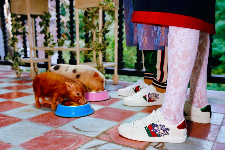 THE CUT | GUCCI CHINESE NEW YEAR COLLECTION FEATURES DISNEYS THREE LITTLE PIGS