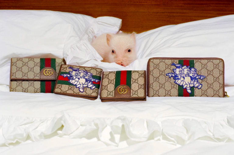 THE CUT | GUCCI CHINESE NEW YEAR COLLECTION FEATURES DISNEYS THREE LITTLE PIGS